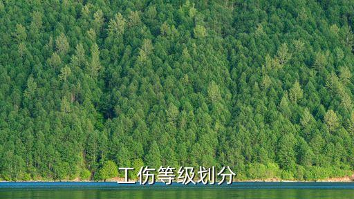 傷殘等級劃分標準，重傷有幾個級別