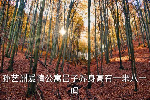 孫藝洲愛情公寓呂子喬身高有一米八一嗎