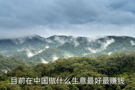 目前在中國做什么生意最好最賺錢