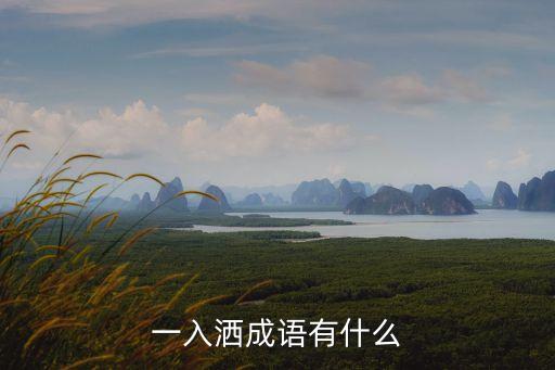 一入灑成語有什么