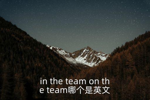 in the team on the team哪個是英文