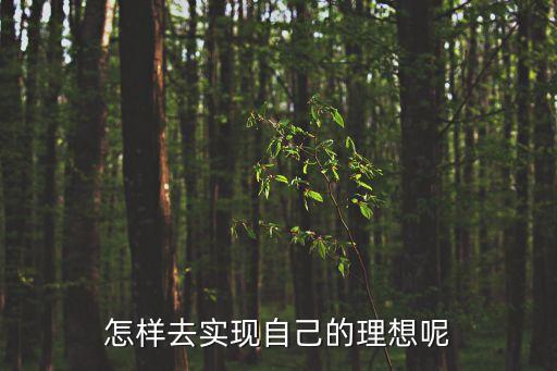 怎樣去實現自己的理想呢