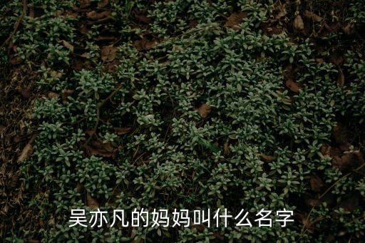 吳亦凡的媽媽叫什么名字