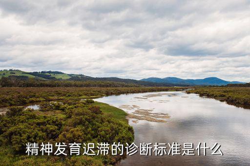 精神發(fā)育遲緩，得了精神發(fā)育遲滯怎么辦