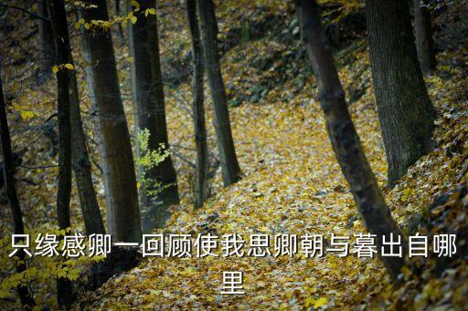 鳳再上，鳳再上作者是誰