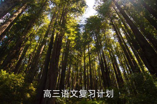高三語文復(fù)習(xí)計(jì)劃，高三語文復(fù)習(xí)計(jì)劃
