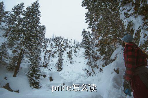 price，price怎么讀