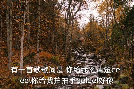 有一首歌歌詞是 你給我挺清楚eeleel你給我拍拍手eeleel好像