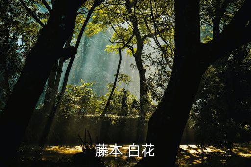 山荊子，昨天去別的公司辦事在他們公司花園見到這種樹結紅色的果子看