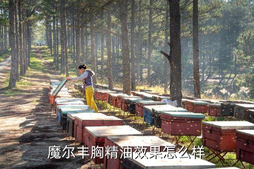 魔爾豐胸精油效果怎么樣