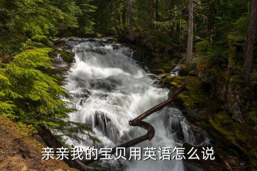 親親小寶貝，親親我的寶貝用英語怎么說