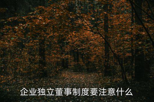 獨立董事培訓，企業獨立董事制度要注意什么