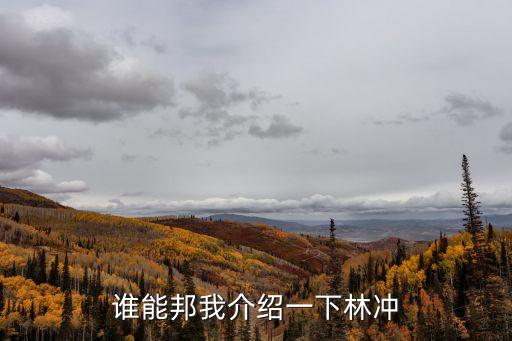 水滸傳林沖，林沖的資料