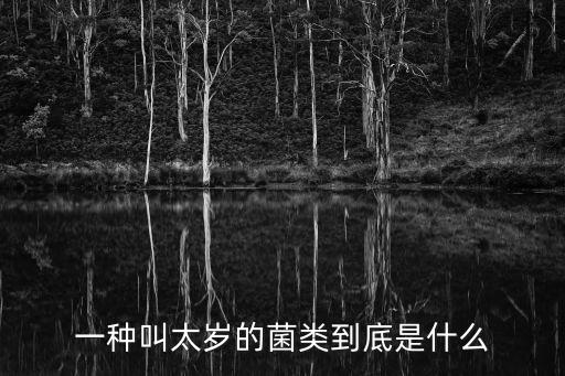 一種叫太歲的菌類到底是什么