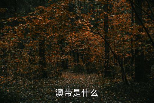 澳帶是什么海鮮，澳帶是什么東西