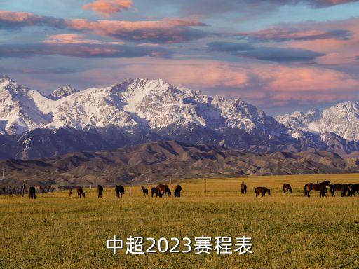 中超賽程表，2023中超賽程表
