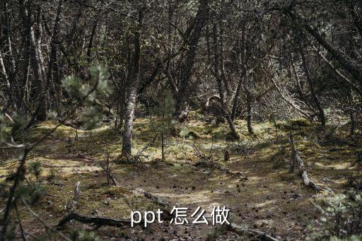 畫ppt，畫畫功能在PPT哪里