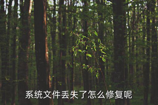 系統文件修復，如何修復系統損壞的文件