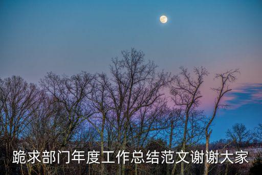 部門年度工作總結(jié)，部門工作總結(jié)