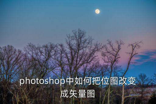photoshop中如何把位圖改變成矢量圖