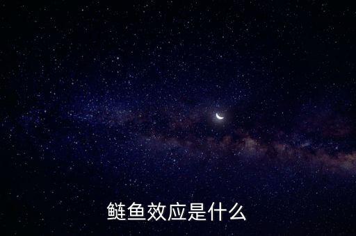 鰱魚效應是什么