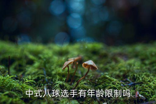 中式八球選手有年齡限制嗎