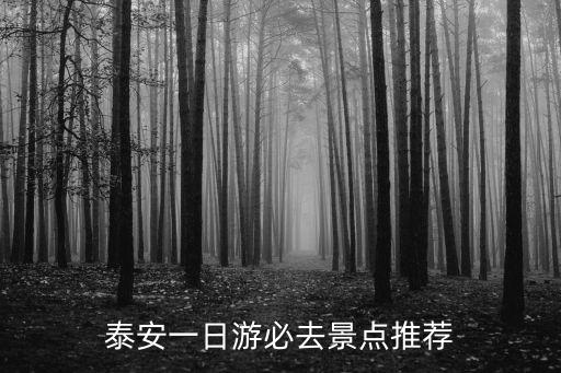 泰安一日游，泰安一日游最好的地方