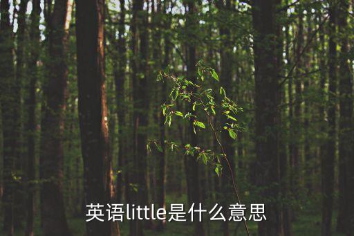 little，little的意思是什么