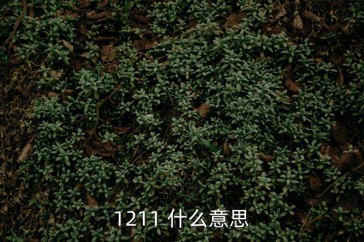 1211，1211滅火劑的介紹