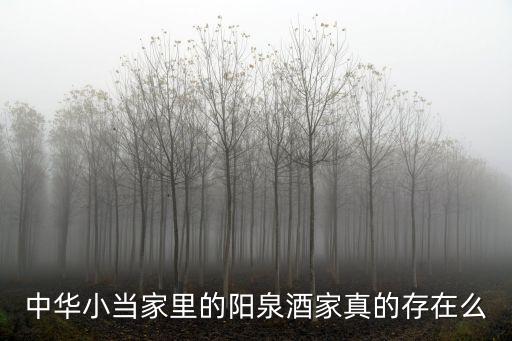 中華小當(dāng)家里的陽(yáng)泉酒家真的存在么