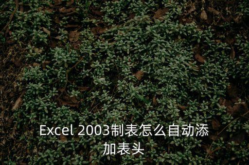 Excel 2003制表怎么自動添加表頭