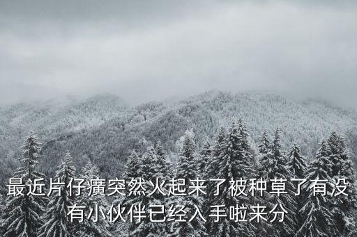 片仔癀草，有一種草藥的名字叫片仔癀有什么功效