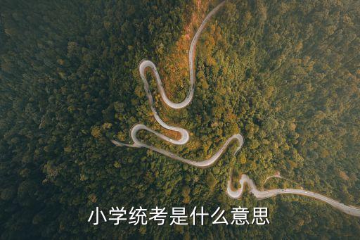 全國統(tǒng)考，小學統(tǒng)考是什么意思