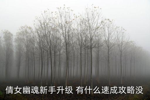 倩女幽魂怎么玩，怎么玩夢幻類