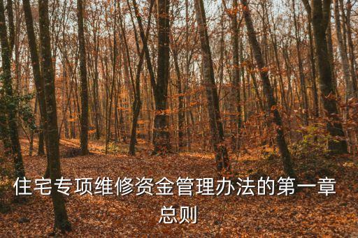 專項資金管理辦法，專項資金管理制度的介紹