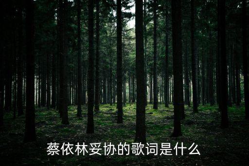 蔡依林妥協的歌詞是什么