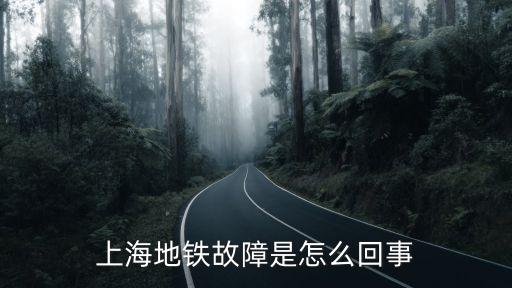 地鐵故障，上海地鐵故障是怎么回事