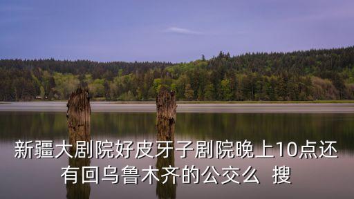 新疆大劇院好皮牙子劇院晚上10點(diǎn)還有回烏魯木齊的公交么  搜