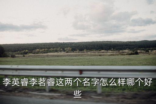 李英睿，誰能幫我兒子起個名字我姓李我兒子在英字輩兒上急急