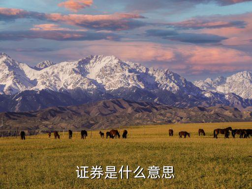什么是證券，證券基金股票和證券的異同是什么
