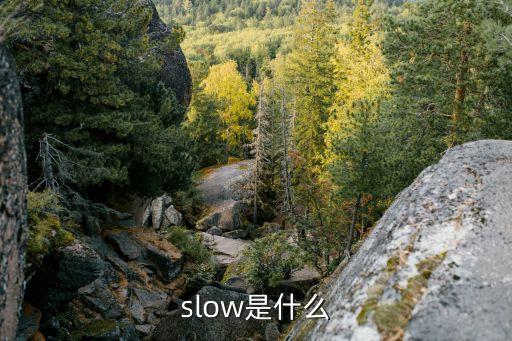 slow，slow是什么