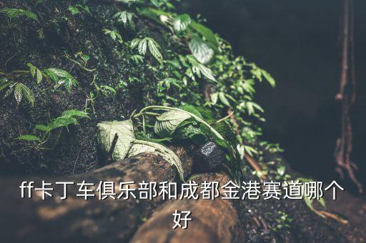 ff卡丁車俱樂(lè)部和成都金港賽道哪個(gè)好