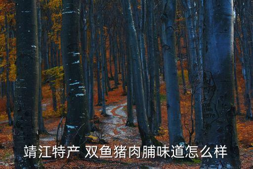 靖江特產(chǎn) 雙魚豬肉脯味道怎么樣