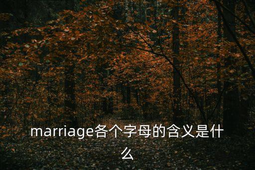 marriage，maarriage是什么意思