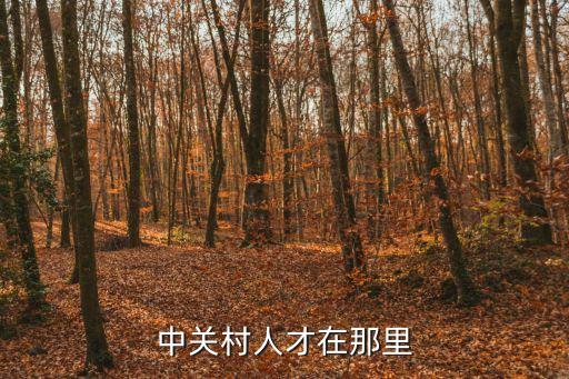 中關村人才，中關村人才市場 周六日休息嗎