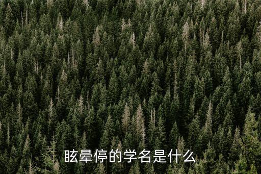眩暈停說明書，眩暈停如何服用