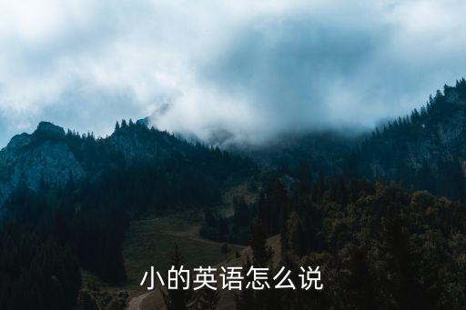 小的英語怎么說，小的英文怎么說