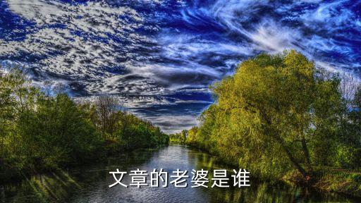 文章的老婆，文章老婆是誰