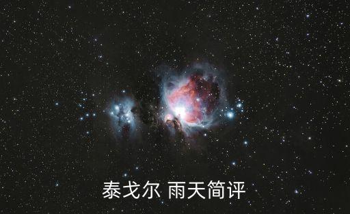 雨天，泰戈?duì)?雨天簡(jiǎn)評(píng)