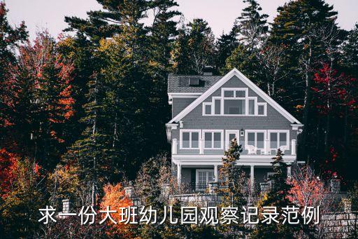 大班個(gè)案觀察記錄，幼兒園個(gè)案觀察記錄